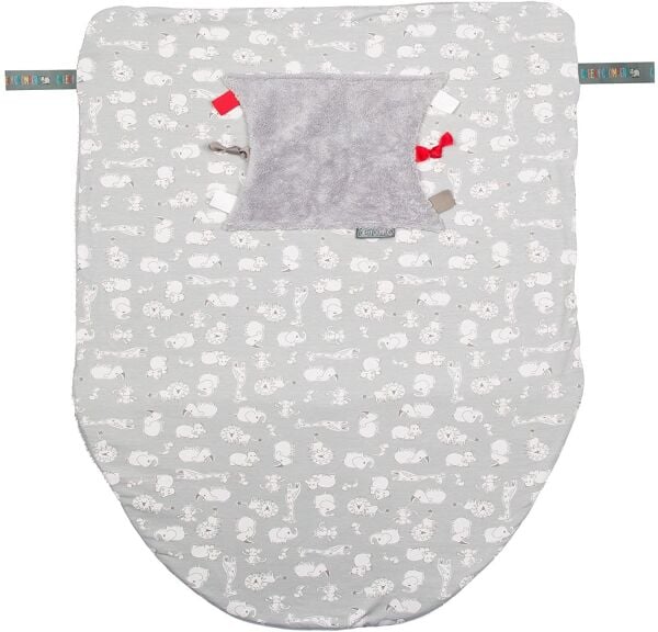 Cheeky Chompers Blanket Chewy & Co