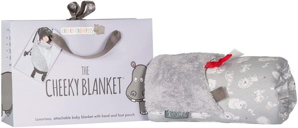 Cheeky Chompers Blanket Chewy & Co