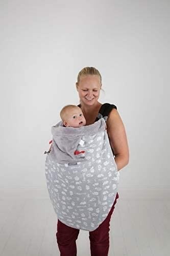 Cheeky Chompers Blanket Chewy & Co