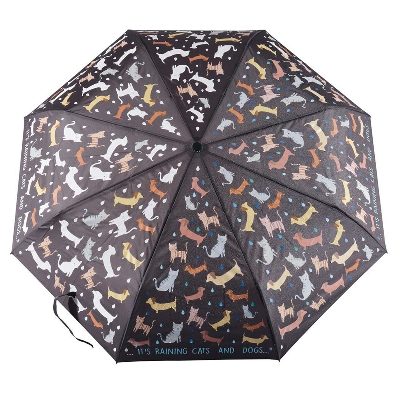Renk Değiştiren Şemsiye - Raining Cats & Dogs