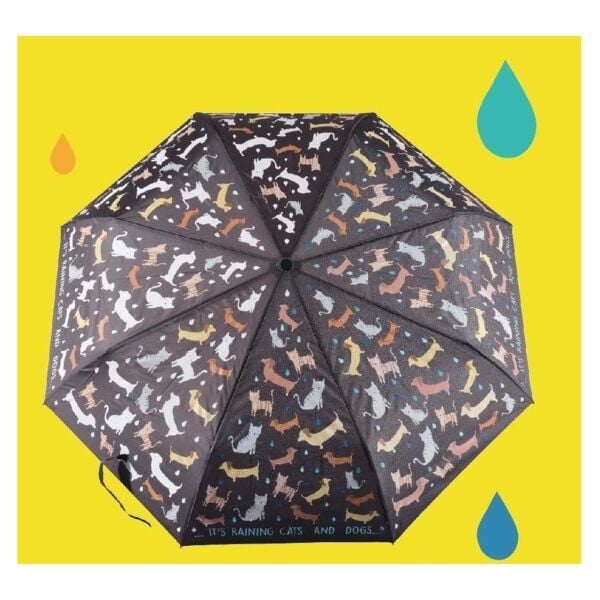 Renk Değiştiren Şemsiye - Raining Cats & Dogs