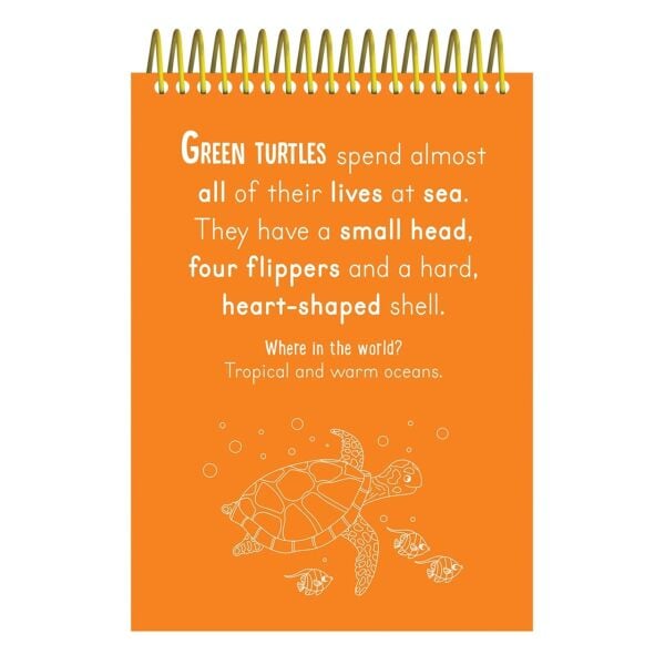 Scratch And Colour - Animals