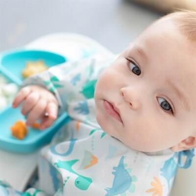 Bumkins Uzun Kollu Önlük (6-24 ay)- Dinosaurs