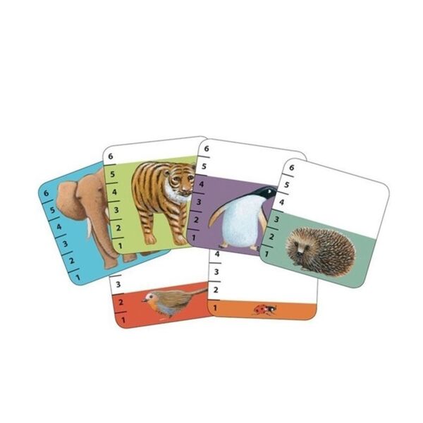 Djeco Kart Oyunları - Batanimo