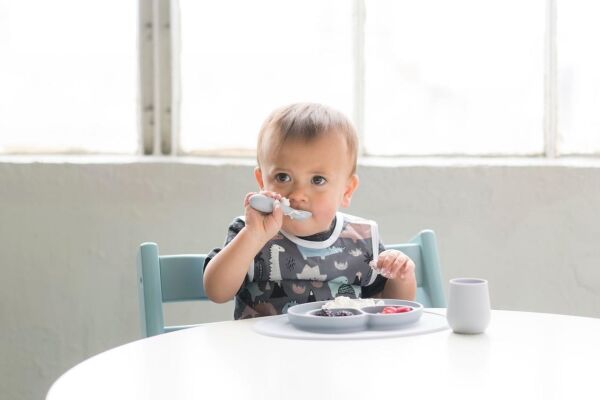 EZPZ Tiny Spoon Adaçayı