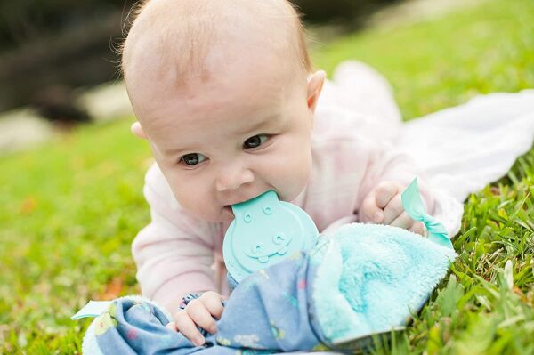 Cheeky Chompers Comfortchew Tiny Tatty Teddy