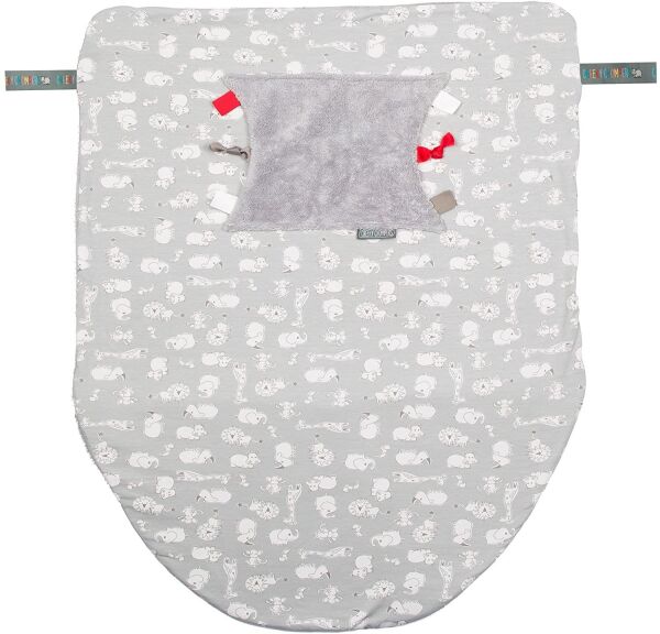 Cheeky Chompers Blanket Chewy & Co