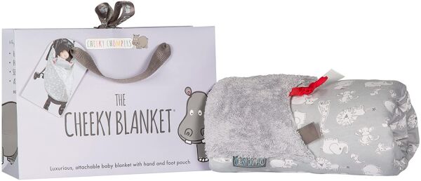 Cheeky Chompers Blanket Chewy & Co