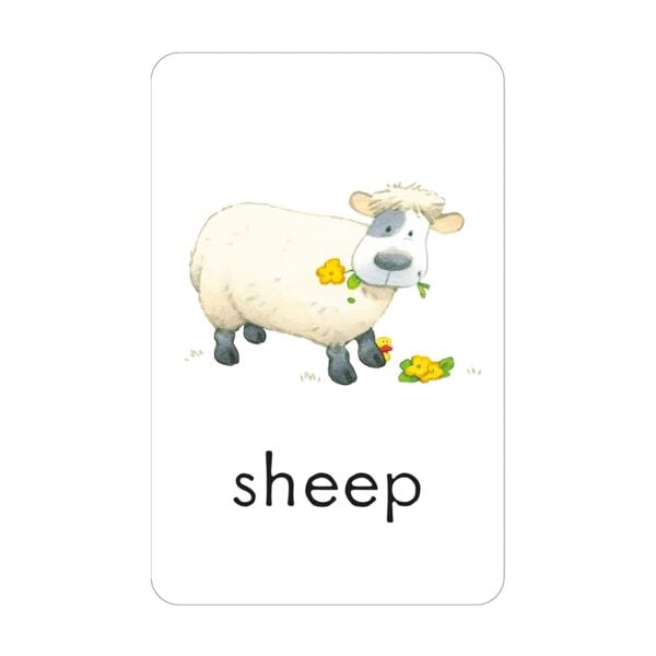 Poppy and Sams - First Words Flashcards