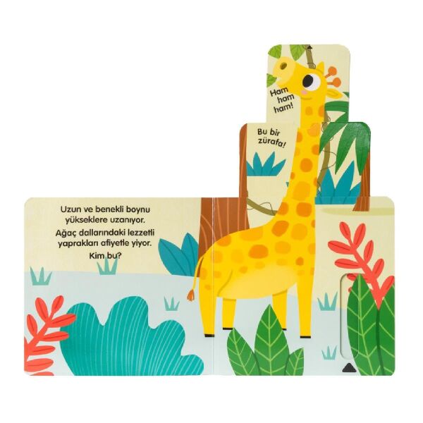 Vahşi Doğada Yaşam