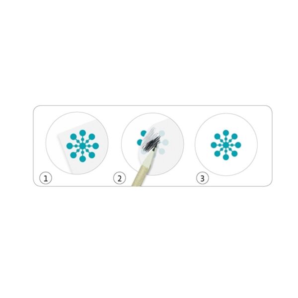 Djeco Kazıma Kartları / Savannah Desert