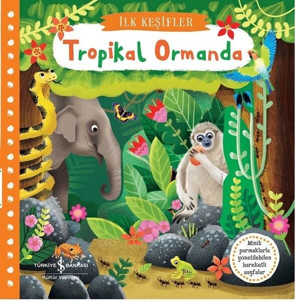 Tropikal Ormanda