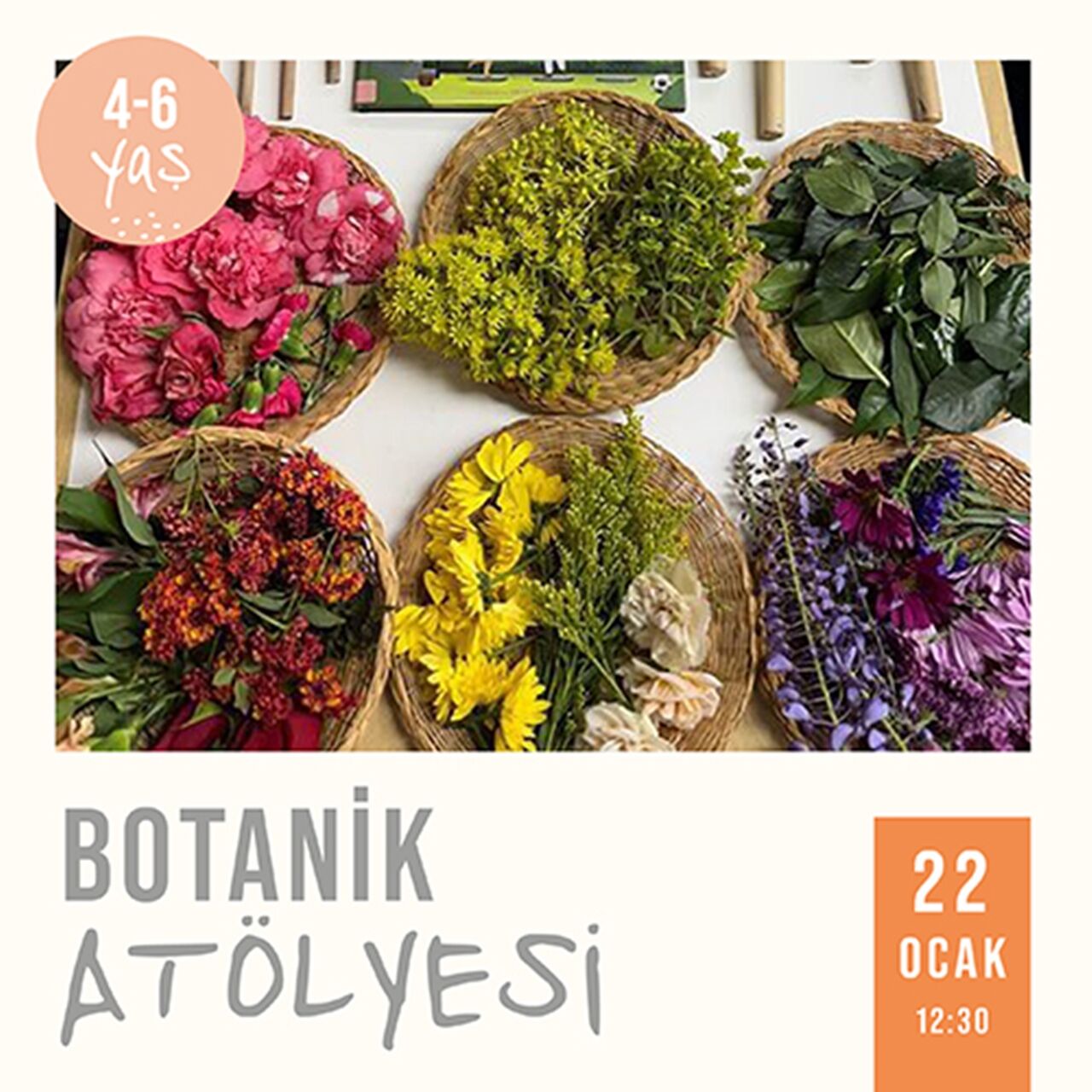 Botanik Atölyesi  12:30 (22.01.2026)