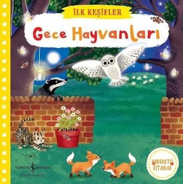 Gece Hayvanları