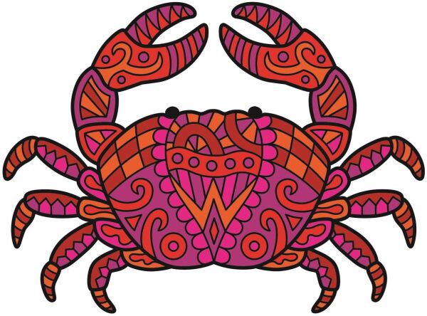 Galt Animal Pattern Book 6 Yaş+