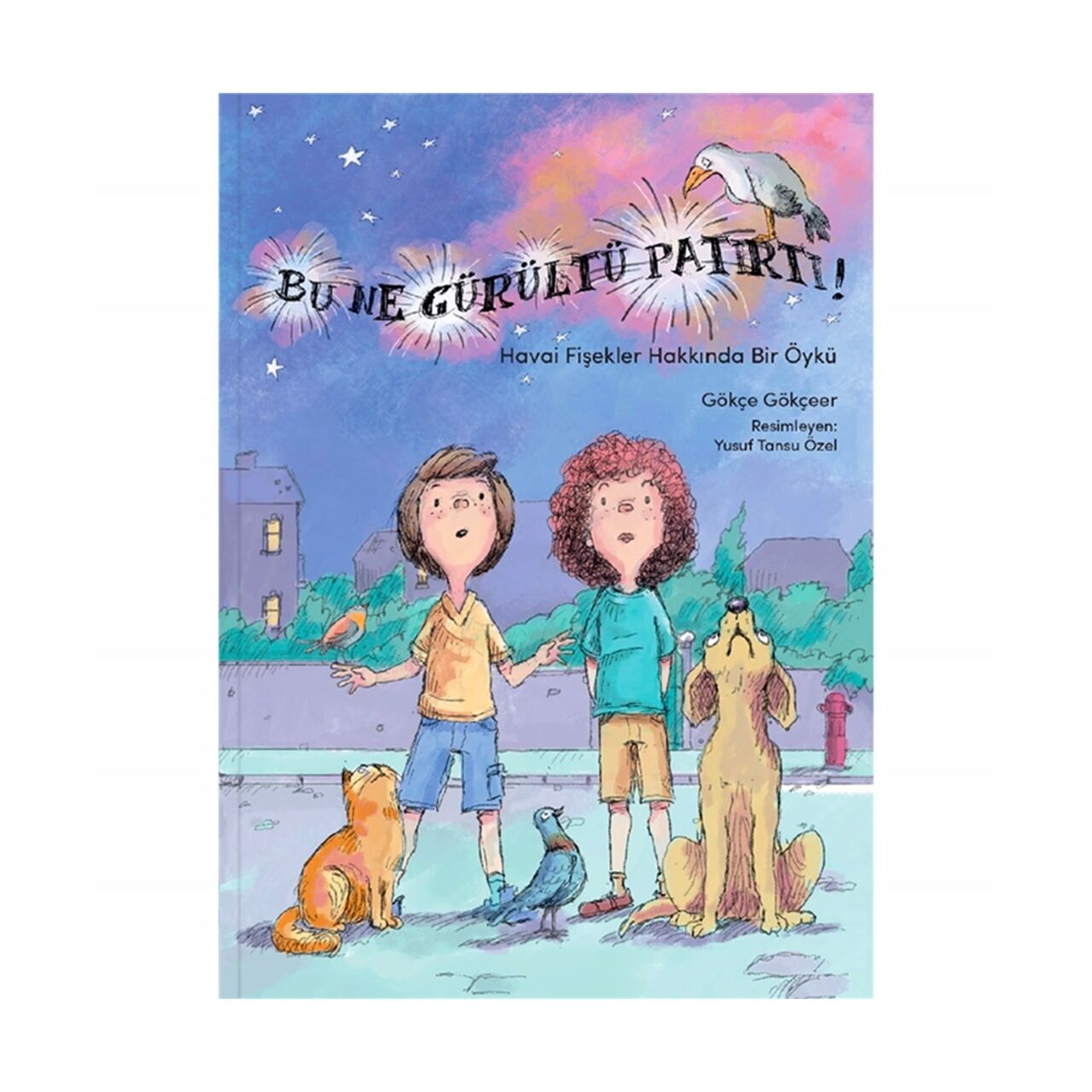 Bu Ne Gürültü Patırtı! - Havai Fişekler Hakkında B