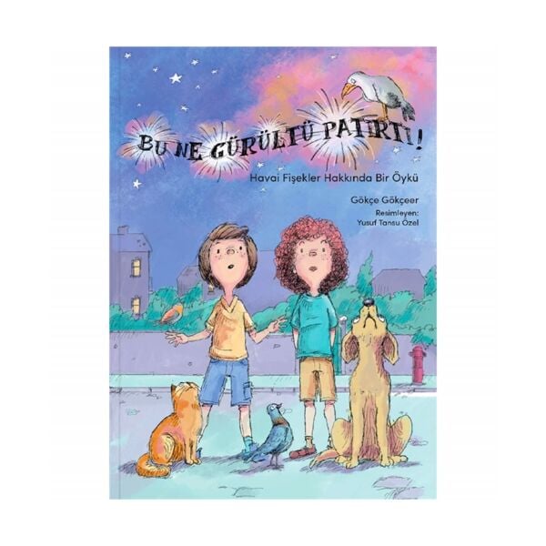 Bu Ne Gürültü Patırtı! - Havai Fişekler Hakkında B