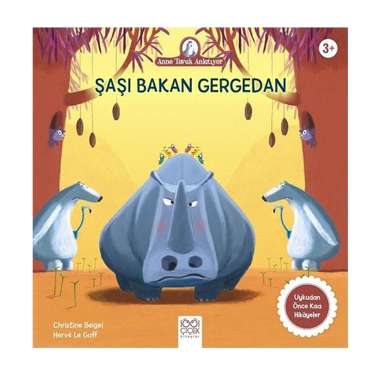 Şaşı Bakan Gergedan