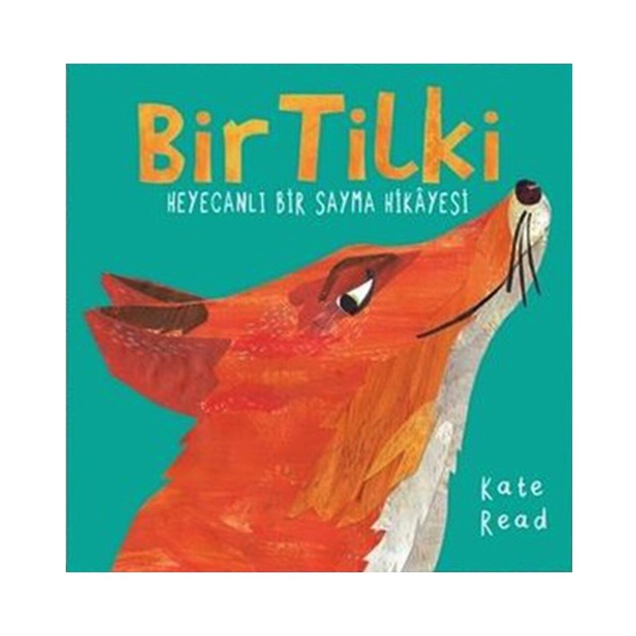 Bir Tilki - Heyecanlı Bir Sayma Hikayesi