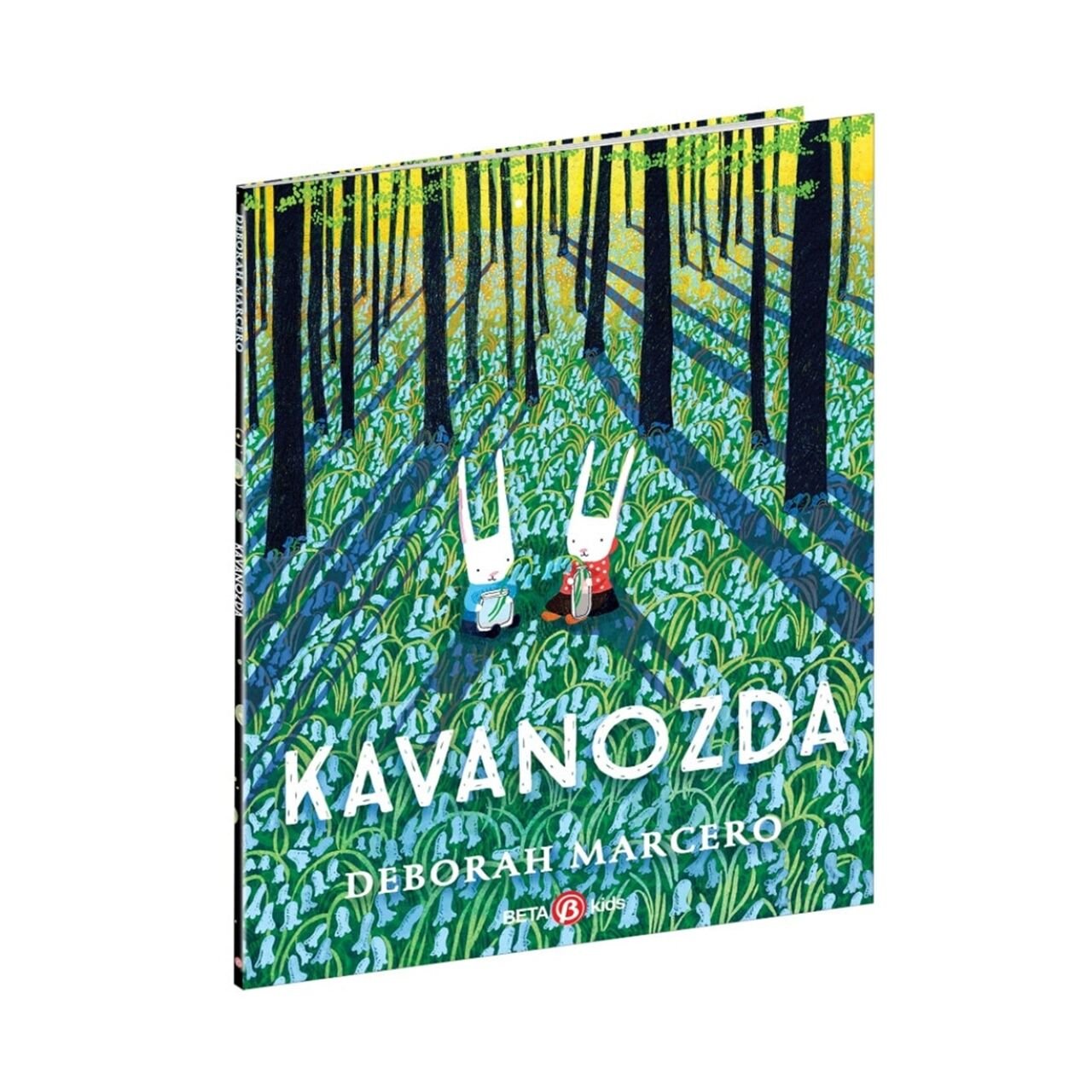 Kavanozda