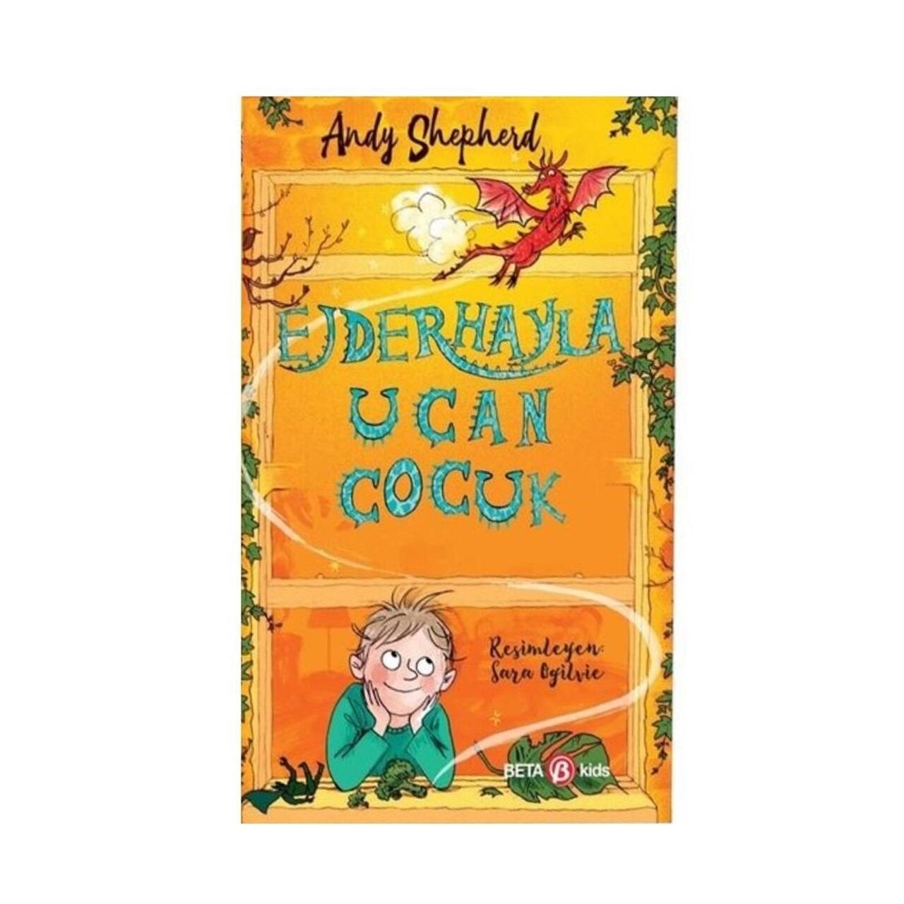 Ejderhayla Uçan Çocuk