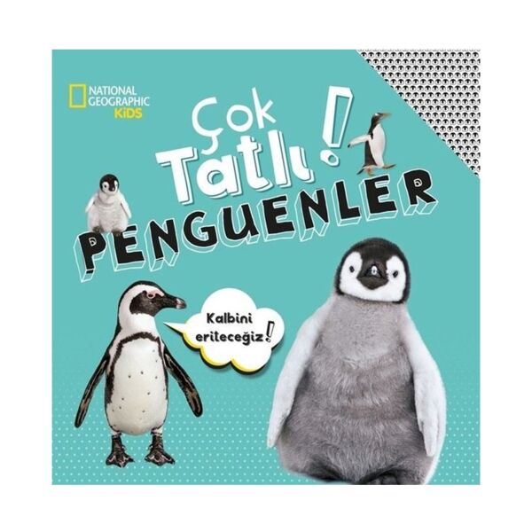 Çok Tatlı Penguenler