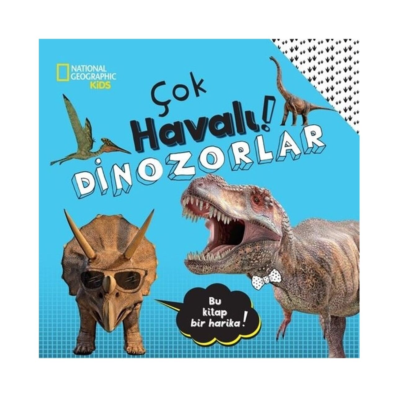 Çok Havalı Dinozorlar