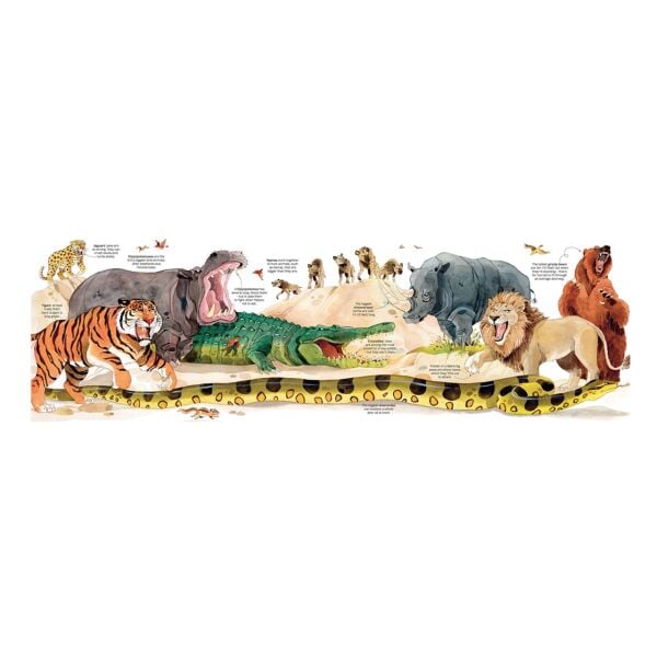 Big Book of Animals