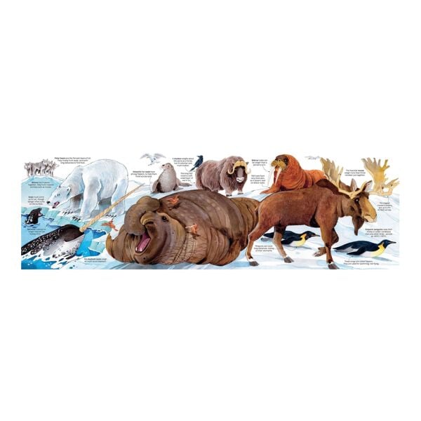 Big Book of Animals