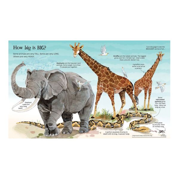 Big Book of Animals