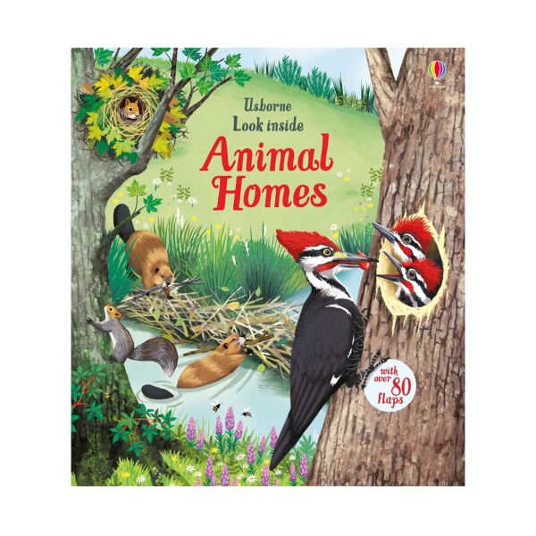 Look Inside Animal Homes