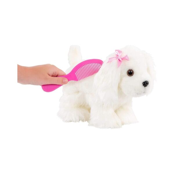 Pucci Pups Maltese ve Tarak