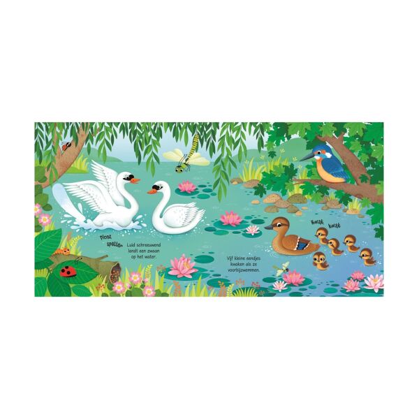 Bird Sounds
