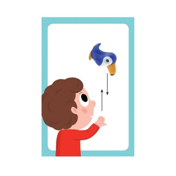 Djeco Kutu Oyunları / Little Action