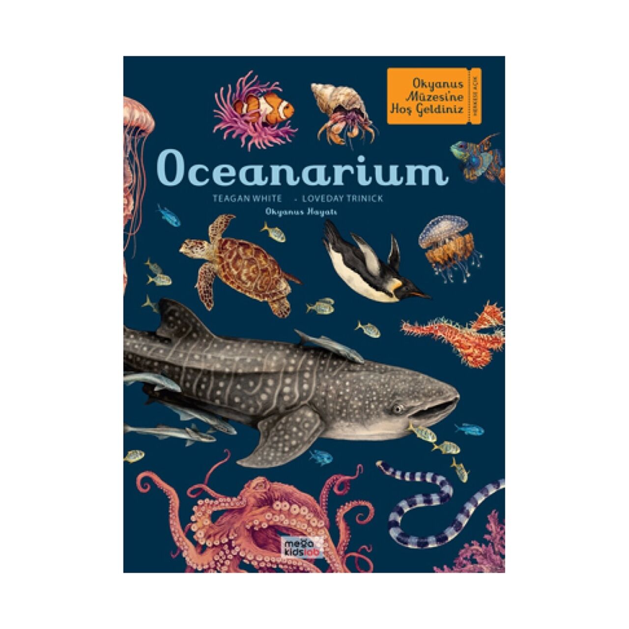 Oceanarium