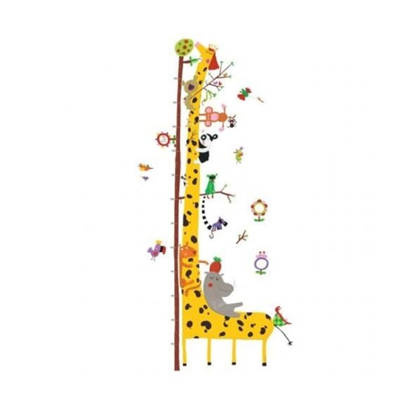 Little Big Room Boy Ölçer / Friends Of The Amazon