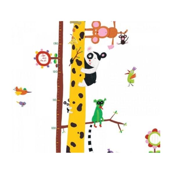 Little Big Room Boy Ölçer / Friends Of The Amazon