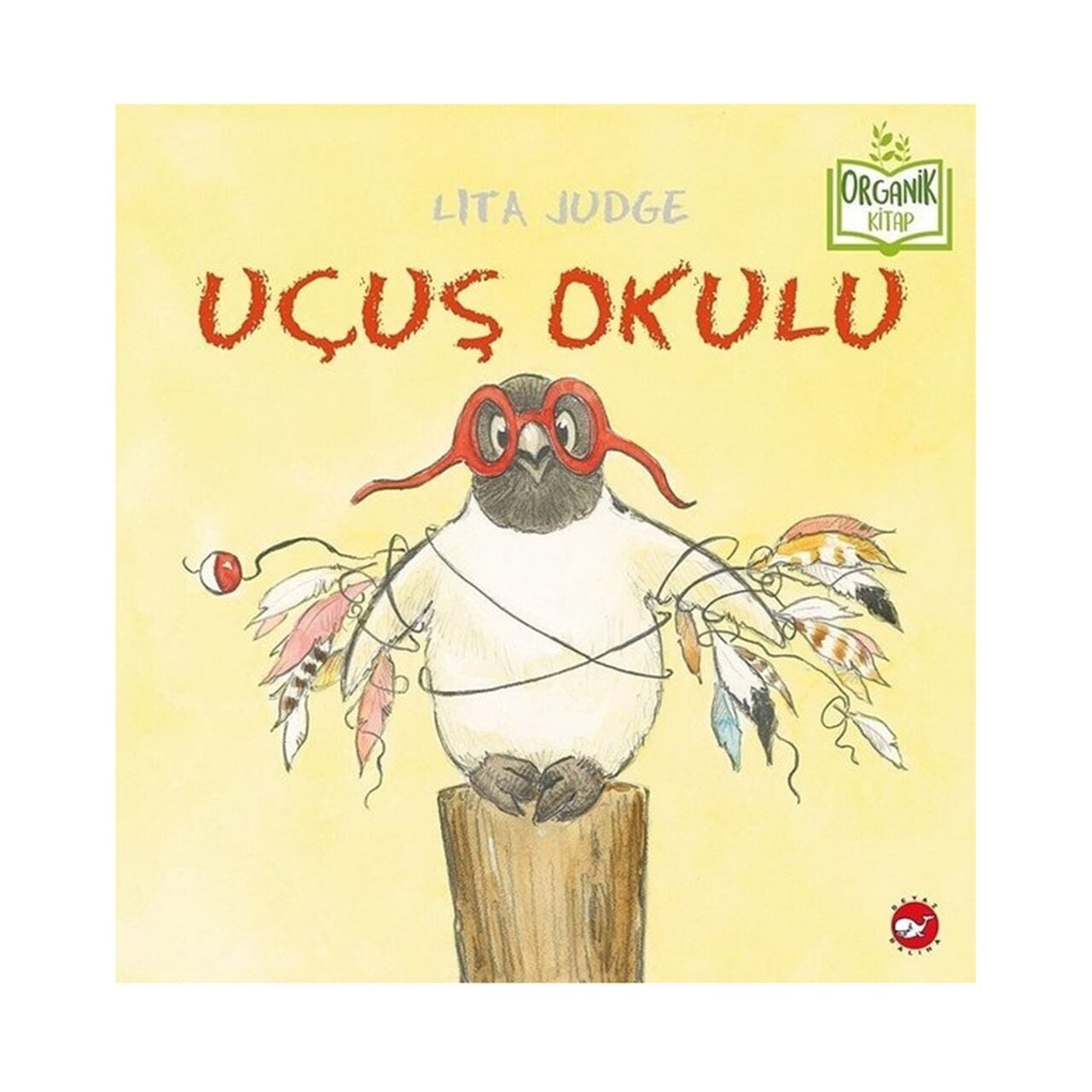 Uçuş Okulu
