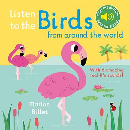 Listen To the Birds Around World