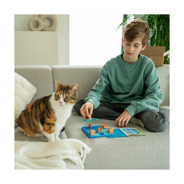 Cats & Boxes