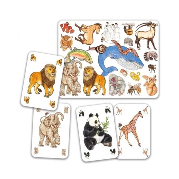 Djeco Kart Oyunları - Zanimatch