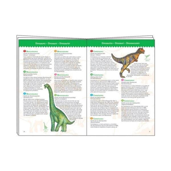 Djeco Dev Puzzle 100 Parça - Dinosaurs