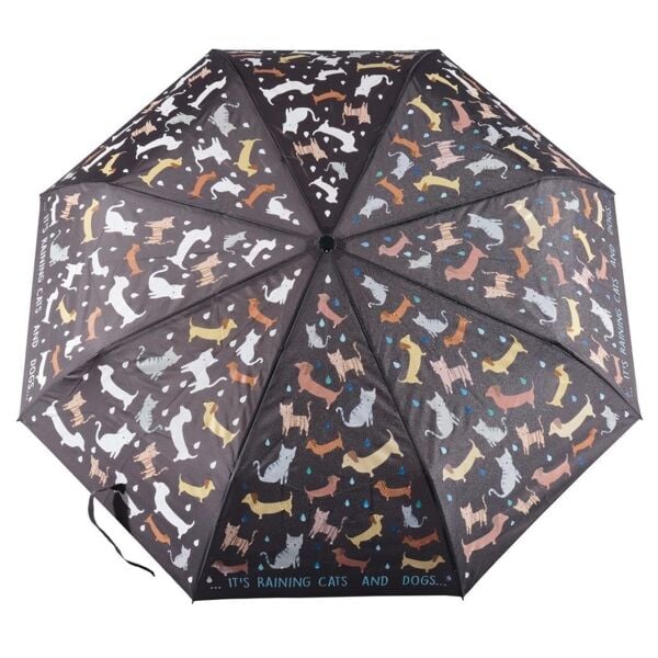 Renk Değiştiren Şemsiye - Raining Cats & Dogs