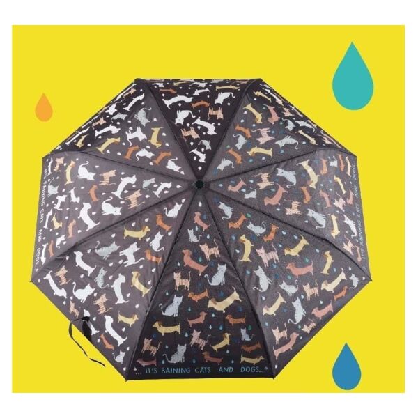 Renk Değiştiren Şemsiye - Raining Cats & Dogs