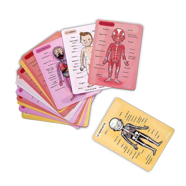 Janod Mıknatıslı Oyun - Vücudumuzu Tanıyalım