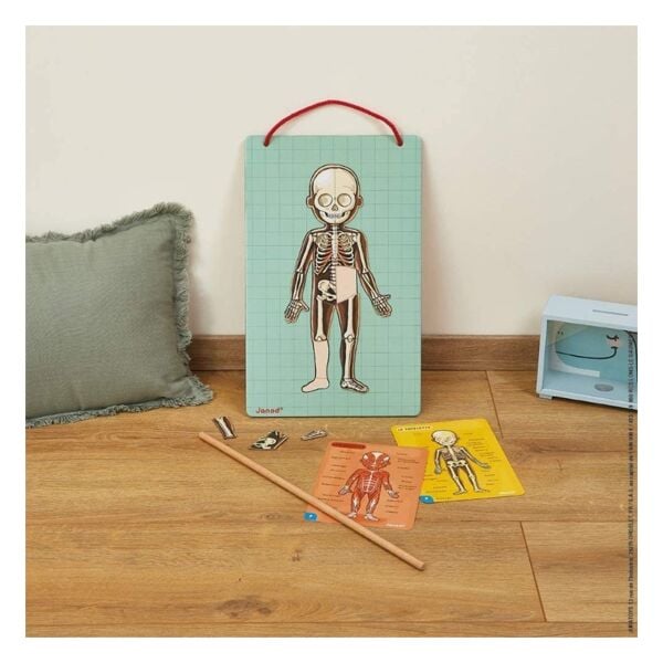 Janod Mıknatıslı Oyun - Vücudumuzu Tanıyalım