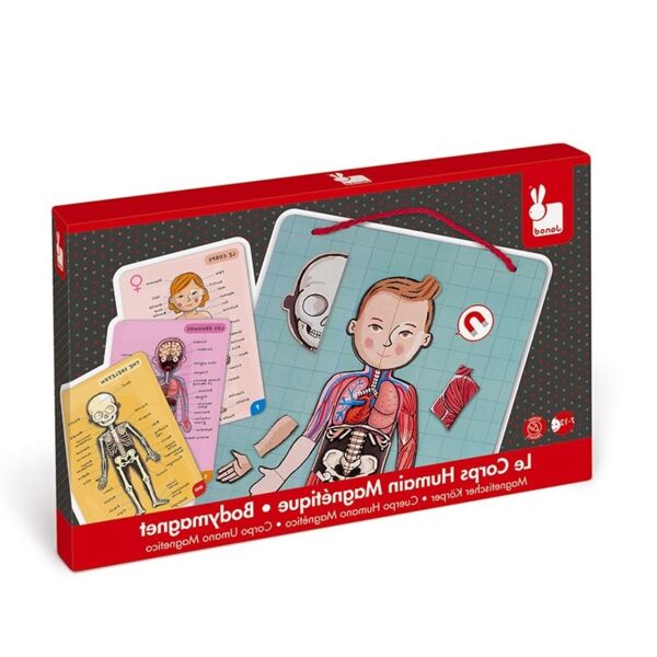 Janod Mıknatıslı Oyun - Vücudumuzu Tanıyalım