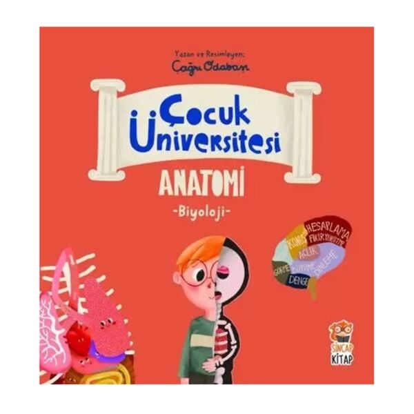 Çocuk Üniversitesi - Biyoloji - Anatomi