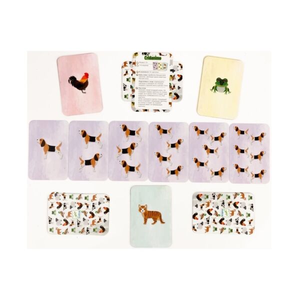 Djeco Kart Oyunları / Cridanimo