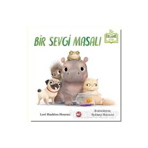 Bir Sevgi Masalı